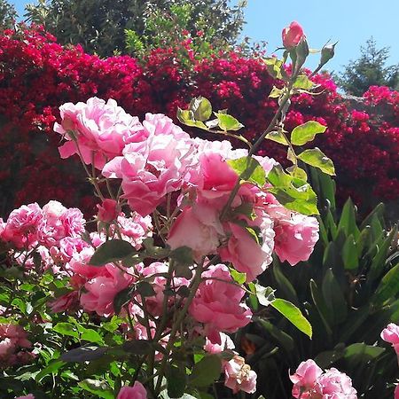 Back To Sorrento Bed & Breakfast Sant'Agnello Ngoại thất bức ảnh