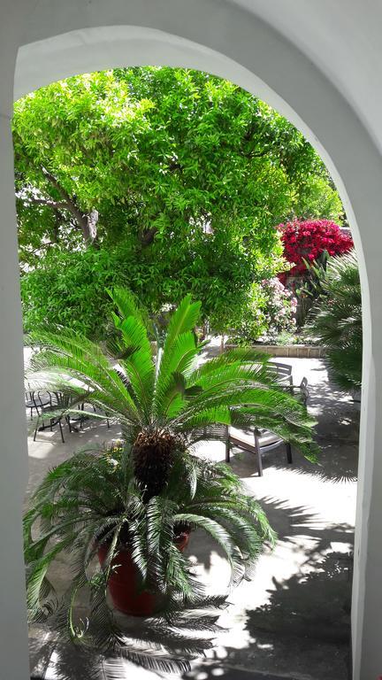 Back To Sorrento Bed & Breakfast Sant'Agnello Ngoại thất bức ảnh